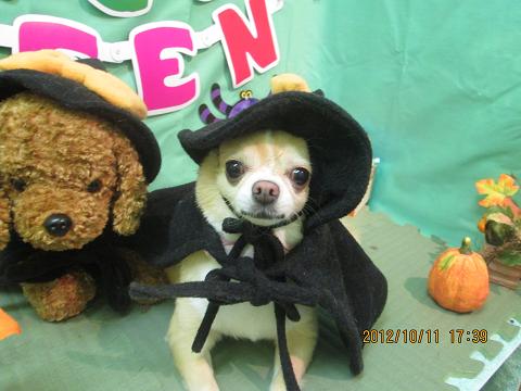 サッキーちゃん