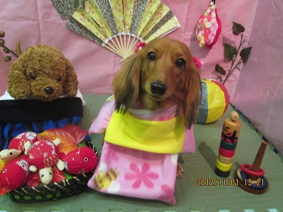 ミルキーちゃん