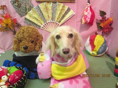 ティアラちゃん