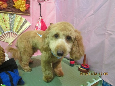 ヴォルフスくん