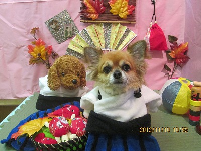 ゆうじろうくん