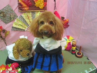 ダッフィーくん