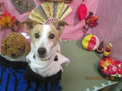 ピーピー丸くん