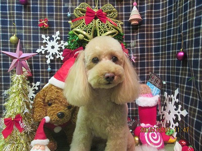 ミルキーちゃん