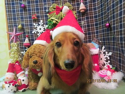 ミルキーちゃん