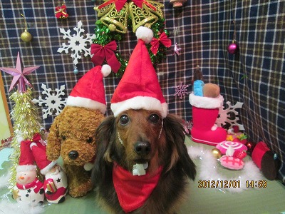 ベッキーちゃん