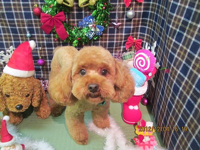 チョッパーくん