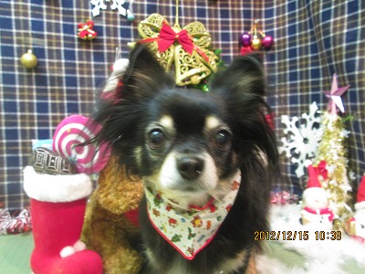 リィリィちゃん