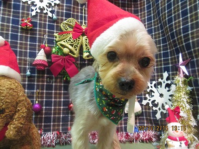 しんのすけくん