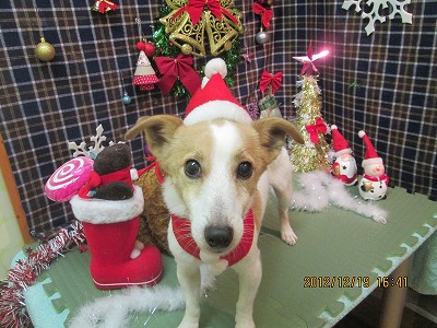 ピーピー丸くん