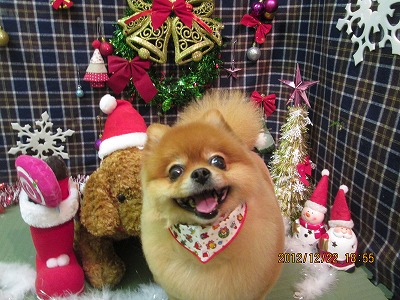 クッキーちゃん