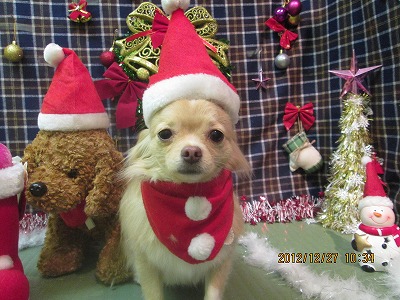 チェリーちゃん