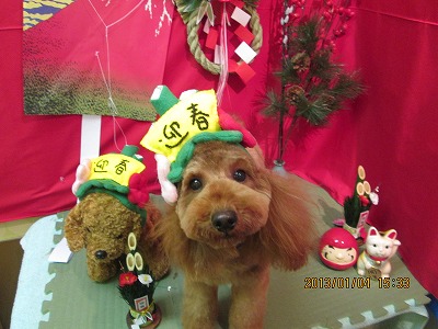 ダッフィーくん