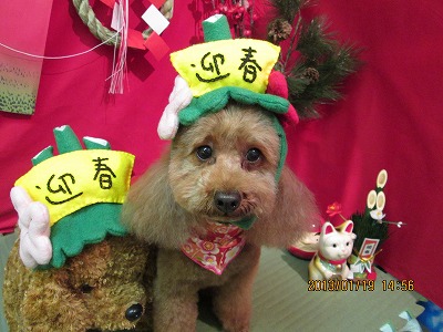 チャイムちゃん