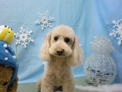 ミルキーちゃん