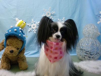 マイリーちゃん