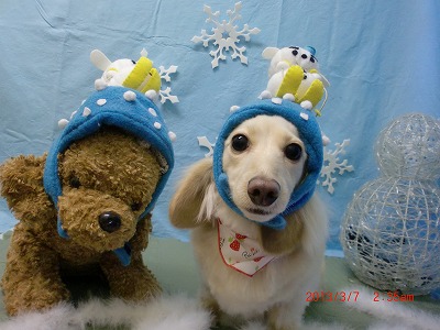 ティアラちゃん