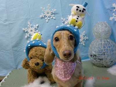 チャチャちゃん