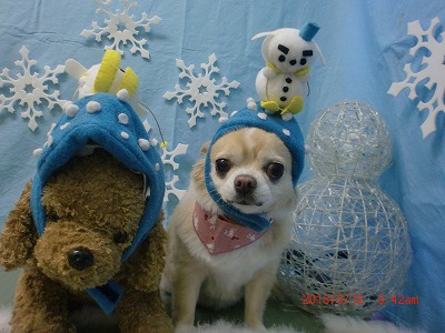 サッキーちゃん