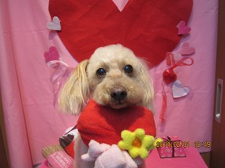 ミルキーちゃん