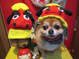 ゆうじろうくん