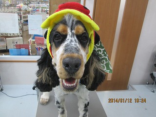 ジュリアンくん