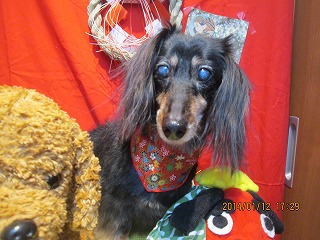 キャナルちゃん