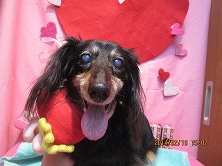 キャナルちゃん