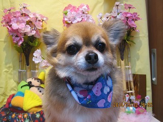 ゆうじろうくん