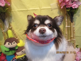 チョコラちゃん