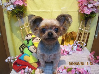 ジュエルちゃん