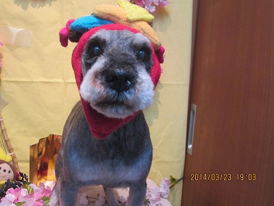 アンディーくん