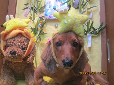 ミルキーちゃん