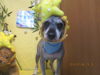 アンディーちゃん