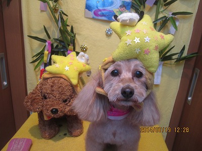 ケイティちゃん