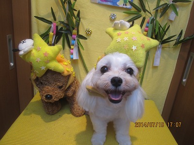 キャンディちゃん