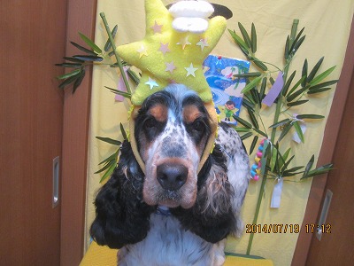 ジュリアンちゃん