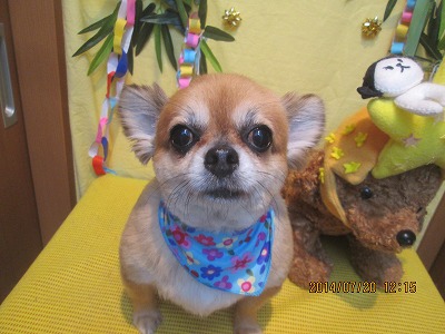 ゆうじろうくん