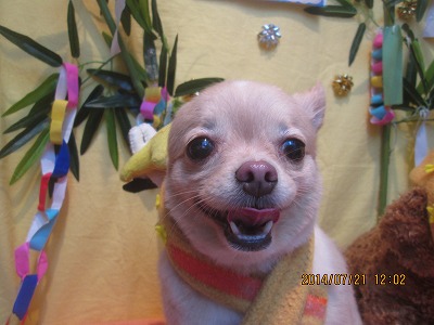 チェリーちゃん