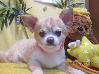 サッキーちゃん