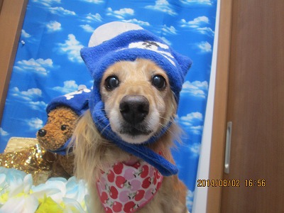 パティーちゃん