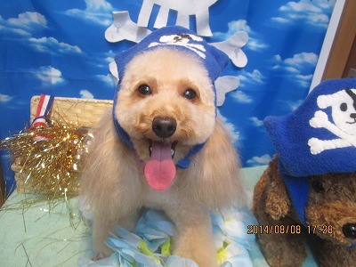 アールグレイちゃん