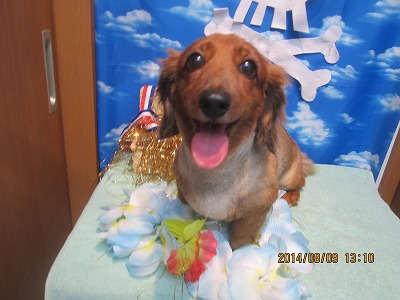 チャーミーちゃん