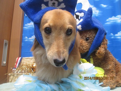 チャッピーちゃん