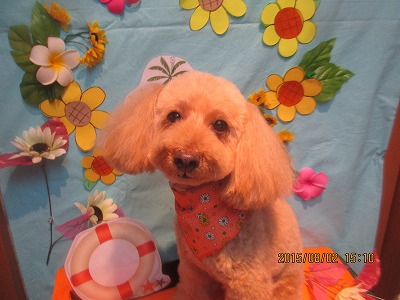 ミルキーちゃん