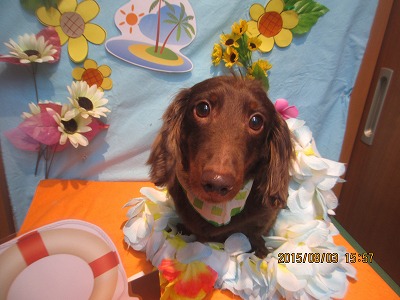 エヴァンちゃん