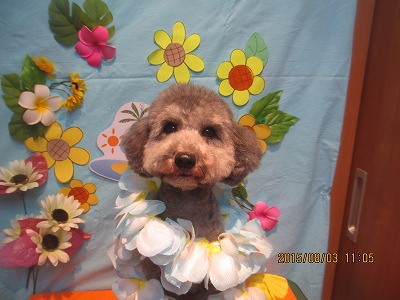 チェリーちゃん