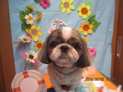 バディーちゃん