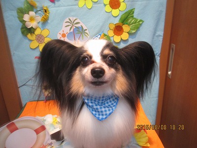 ウェンディーくん