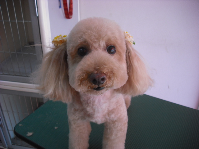 ミルキーちゃん